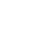 TikTok ikonica